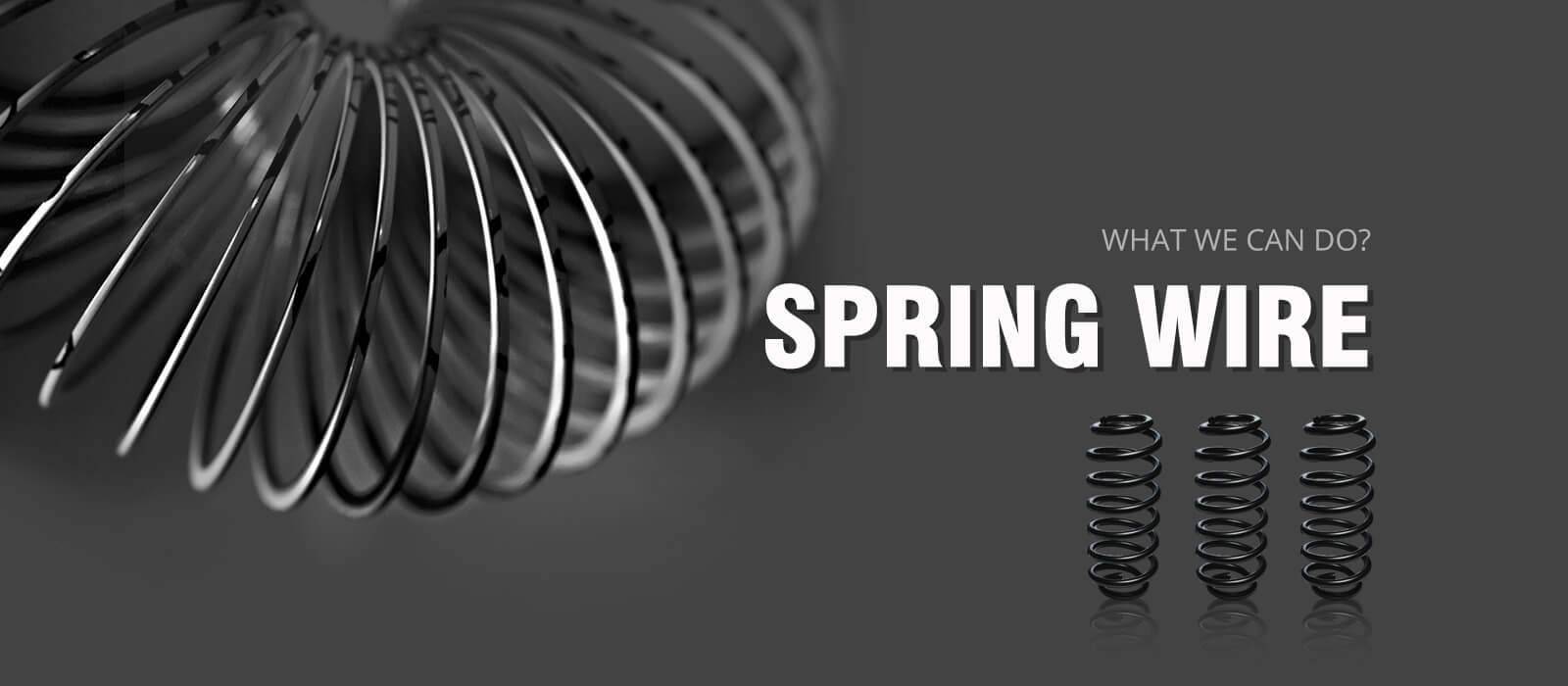 Spring Wire
